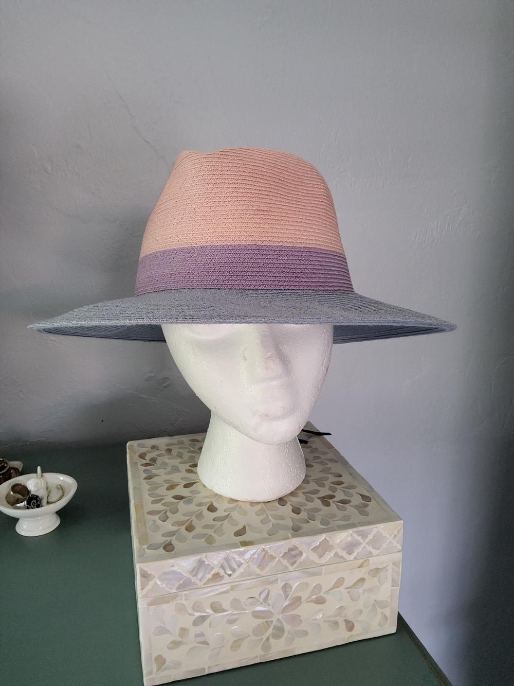 EUGENIA KIM Pastel Colorblock Wide-Brim Hat